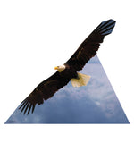 American Eagle Life-size Cardboard Cutout #5183 Gallery Image