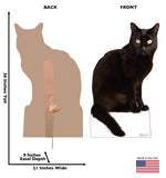 Black Cat Life-size Cardboard Cutout #5185 Gallery Image