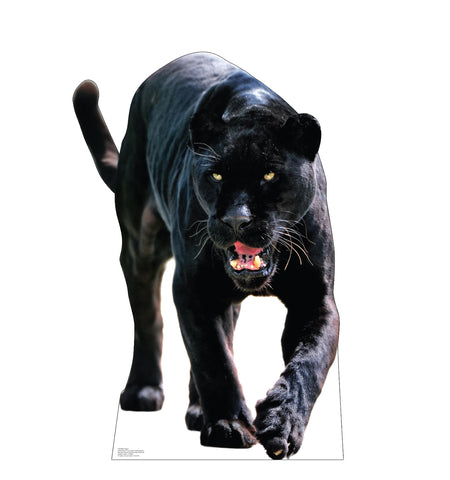 Black Jaguar Life-size Cardboard Cutout #5186