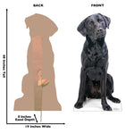 Black Labrador Life-size Cardboard Cutout #5187
