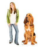 Bloodhound Life-size Cardboard Cutout #5188 Gallery Image