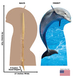 Dolphin Life-size Cardboard Cutout #5204 Gallery Image