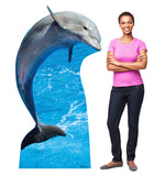 Dolphin Life-size Cardboard Cutout #5204 Gallery Image