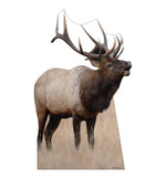 Elk Life-size Cardboard Cutout #5207 Gallery Image