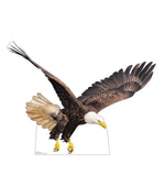 Flying Bald Eagle Life-size Cardboard Cutout #5211 Gallery Image