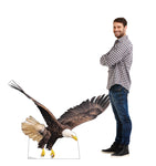 Flying Bald Eagle Life-size Cardboard Cutout #5211