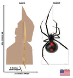 Giant Black Widow Spider Life-size Cardboard Cutout #5213 Gallery Image