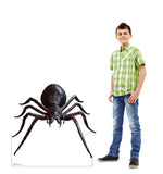 Giant Fantasy Spider Life-size Cardboard Cutout #5214 Gallery Image