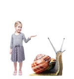 Giant Snail Life-size Cardboard Cutout #5215 Gallery Image