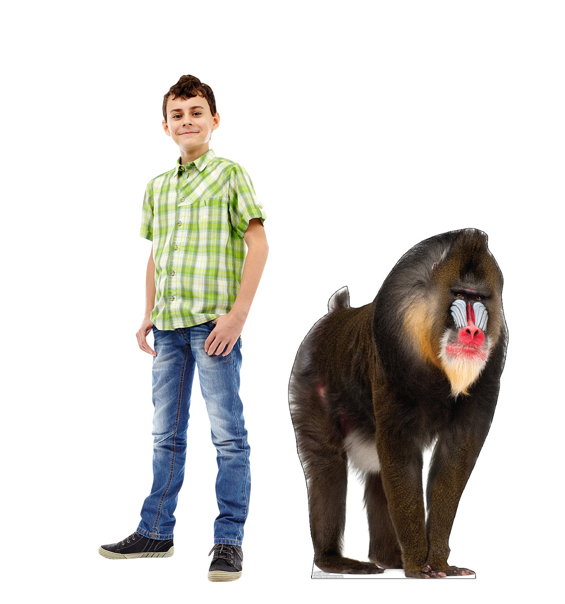 Mandrill ‎– 2枚 5232_Mandrill_28_wModel_1200x1