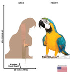 Parrot Life-size Cardboard Cutout #5237
