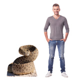 Rattlesnake Life-size Cardboard Cutout #5239 Gallery Image