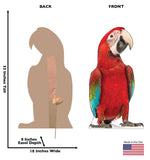 Red Parrot Life-size Cardboard Cutout #5243 Gallery Image