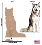 Siberian Husky Life-size Cardboard Cutout #5253