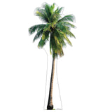Tropical Palm Tree Life-size Cardboard Cutout #5264 Gallery Image