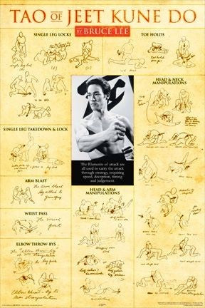 Bruce Lee Tao of Jeet Kune Do Poster