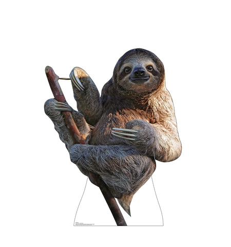 a sloth Cardboard Cutout *3007