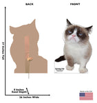 Grumpy Cat Cardboard Cutout *3047