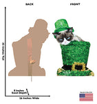Grumpy Cat St. Patrick's Day Cardboard Cutout *3049