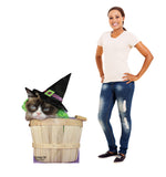 Grumpy Cat Halloween Cardboard Cutout *3051 Gallery Image