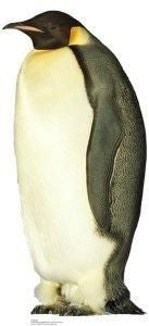 Penguin Cutout #710