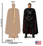 Moff Gideon Life-size Cardboard Cutout #3442 Gallery Image
