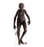 Weasel Life-size Cardboard Cutout #3769 Gallery Image