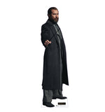 Albus Dumbledore Life-size Cardboard Cutout #3865 Gallery Image