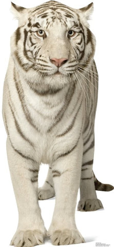 White Tiger Lifesize cutout #1481