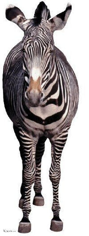 Lifesize Zebra Cutout #814