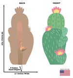 Cactus 48 Inch Life-size Cardboard Cutout #5010 Gallery Image