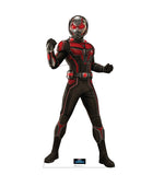 Ant-Man Life-size Cardboard Cutout #5138 Gallery Image