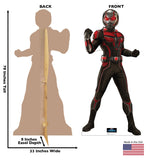 Ant-Man Life-size Cardboard Cutout #5138 Gallery Image