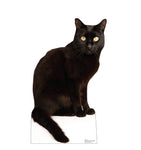 Black Cat Life-size Cardboard Cutout #5185