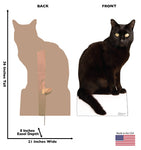 Black Cat Life-size Cardboard Cutout #5185