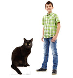 Black Cat Life-size Cardboard Cutout #5185 Gallery Image