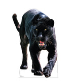 Black Jaguar Life-size Cardboard Cutout #5186 Gallery Image