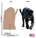 Black Jaguar Life-size Cardboard Cutout #5186 Gallery Image