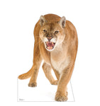 Cougar Life-size Cardboard Cutout #5189