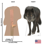 Canadian Black Wolf Life-size Cardboard Cutout #5193