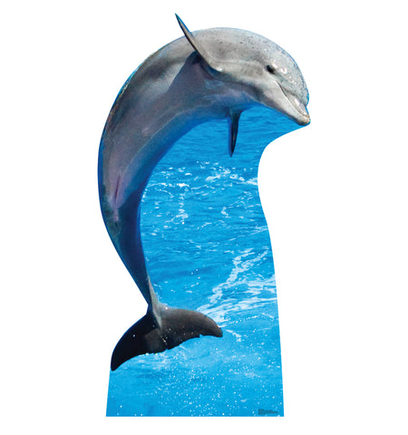 Dolphin Life-size Cardboard Cutout #5204