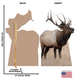 Elk Life-size Cardboard Cutout #5207 Gallery Image