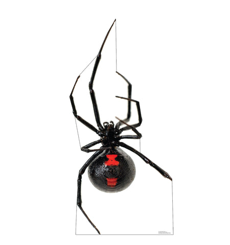 Giant Black Widow Spider Life-size Cardboard Cutout #5213