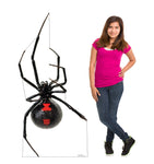Giant Black Widow Spider Life-size Cardboard Cutout #5213