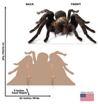 Giant Tarantula Life-size Cardboard Cutout #5216