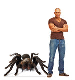 Giant Tarantula Life-size Cardboard Cutout #5216 Gallery Image