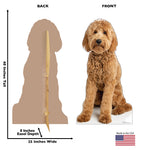 Goldendoodle Life-size Cardboard Cutout #5217