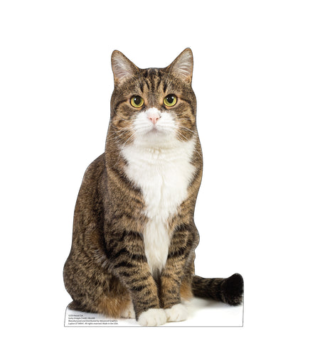 House Cat Life-size Cardboard Cutout #5220