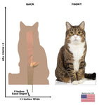 House Cat Life-size Cardboard Cutout #5220