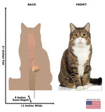 House Cat Life-size Cardboard Cutout #5220 Gallery Image